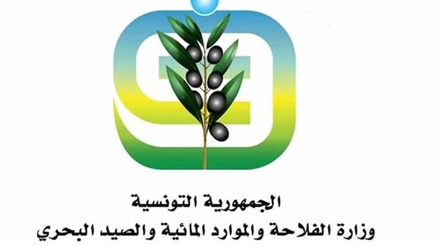 مناخ متقلّب: وزارة الفلاحة تدعو كافّة شركات تجميع الحبوب بأخذ الاحتياطات اللاّزمة