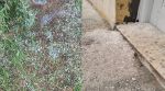 قفصة وسيدي بوزيد.. نزول أمطار مرفوقة