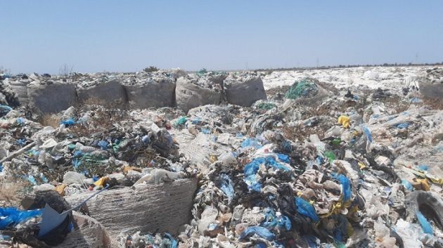 نابل: أعوان المصب الجهوي المراقب 
