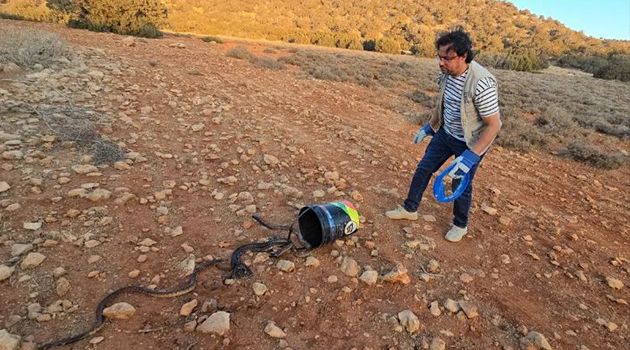 إطلاق 72 أفعى كوبرا .. وزارة البيئة الليبية تحذّر