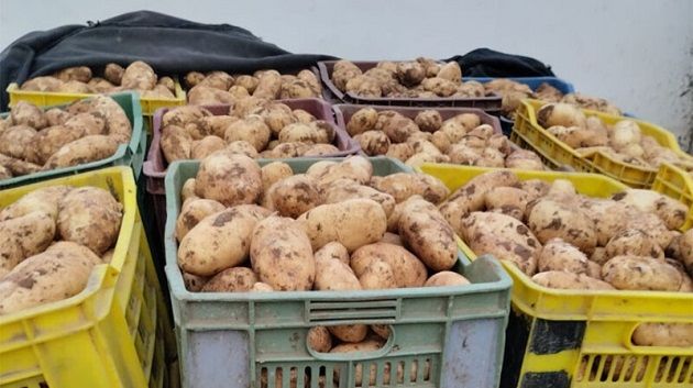 بنزرت: حجز 60 طنا من مادة البطاطا و8 أطنان من الغلال الموسمية