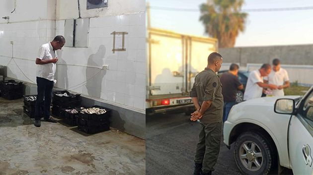 تحرير 18 مخالفة اقتصادية خلال حملة بميناء الصيد البحري بالشابة