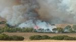 سليانة: السيطرة على حريق جبل الفراشيش