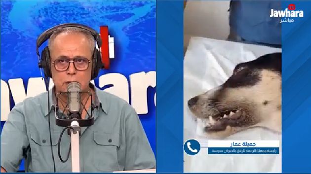 جميلة عمّار: 'المعتدي على الكلب روكي سبق أن عنّف حيواناته بينها معزاة وبقرة'