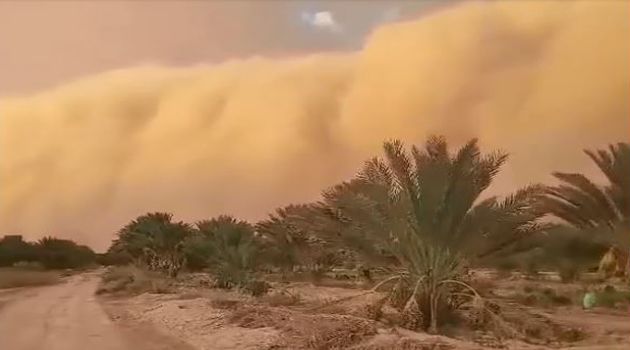 تواصل التقلّبات الجوية.. عاصفة رملية في قبلي (فيديو) 