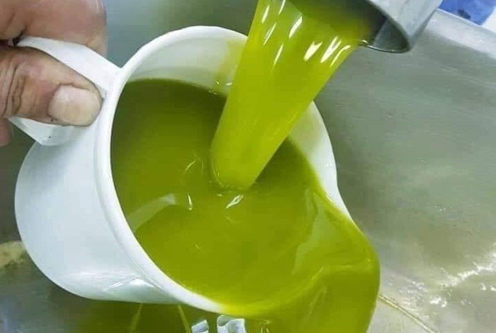 تراجع قيمة صادرات زيت الزيتون بنسبة 31 % خلال التسعة أشهر الأولى من سنة 2025