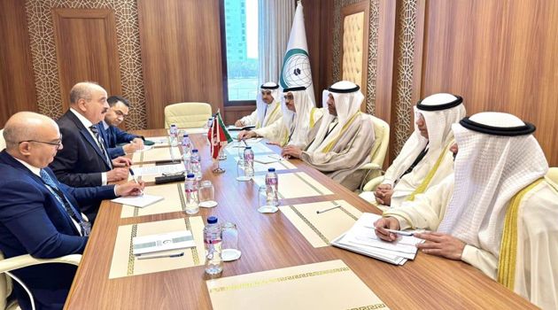 وزير الخارجية يعقد عددا من اللقاءات مع نظرائه من الدول العربية والإسلامية في جدّة