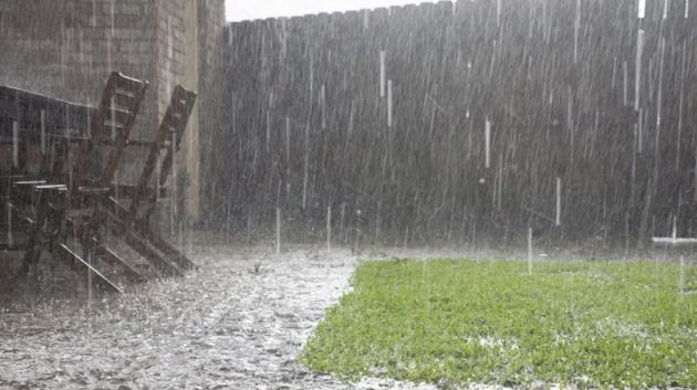 تقلبات جوية متواصلة اليوم وغدا..في هذه الولايات