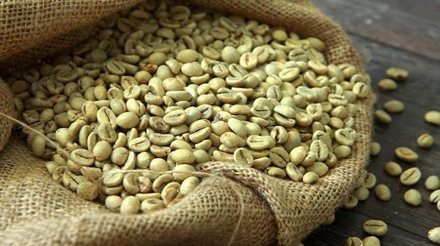 مخصّصة حصريا للمهنيين بكافة مخازنه..الديوان التونسي للتجارة يعلن عن توفير كميّات من مادة القهوة الخضراء 