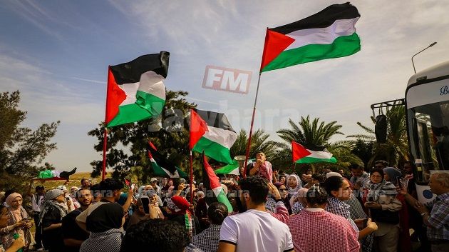 سوسة: التحاق عدد من أنصار أسطول الصمود العالمي ساعات قبل إبحار السفن في اتجاه القطاع 