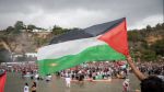أسطول الصمود: فريق قانوني للقيام بالإجراءات القانونية 