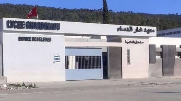 أُستاذ تعليم ثانوي بغارالدماء: 'هناك أطراف حرّضت وليّة تلميذة على إضرام النّار في جسدها' (فيديو)