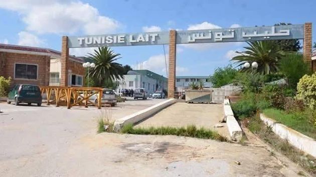 موعد استئناف شركة الألبان بسيدي بوعلي لنشاطها