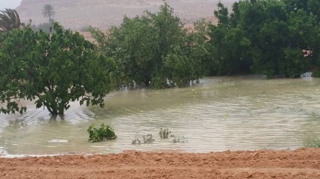 وزارة الفلاحة توصي الفلاحيين بأخذ الاحتياطات اللازمة