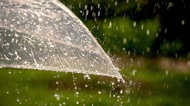 أمطار أحيانا غزيرة بعد الظهر.. في هذه الولايات