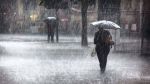 نشرة متابعة: خلايا رعدية و  أمطار أحيانا غزيرة في هذه الولايات  