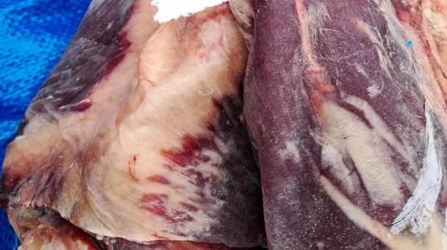 في المنستير و بن عروس و أريانة: حجز 3 أطنان من اللحوم الفاسدة