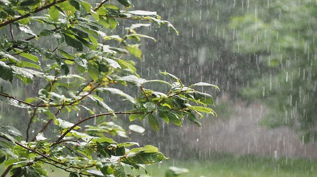 اليوم.. أمطار رعدية وغزيرة تشمل هذه المناطق