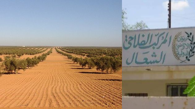رفض الإفراج عن مدير المركب الفلاحي 'الشعّال'