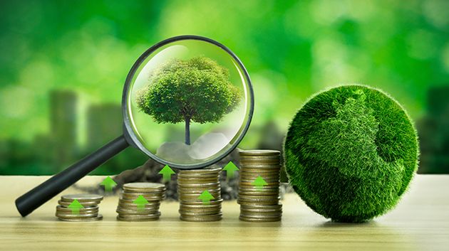 الإثنين المقبل: إطلاق آلية تمويل الاقتصاد الأخضر في تونس