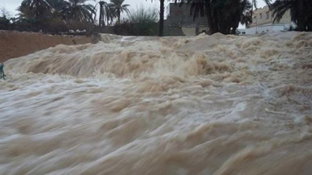 جندوبة: تواصل عمليات البحث عن امرأة جرفتها المياه صحبة أغنامها (فيديو)