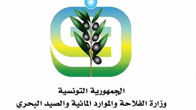 وزارة الفلاحة تدعو إلى إبعاد المواشي والآلات الفلاحيّة عن مجاري الأودية