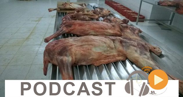 نشرة أخبار السابعة مساء ليوم الخميس 7 ماي 2015