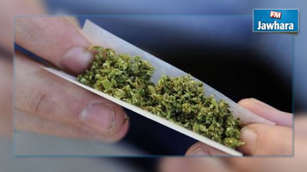 باكستان تحبط تهريب أكثر من 3 أطنان من المخدرات نحو أوروبا