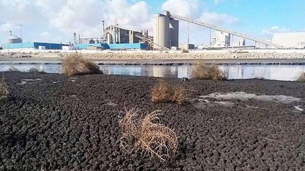  نقابتا أطباء القطاع الخاص وأطباء الأسنان بقابس :  