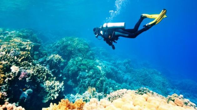 تونس ضمن أفضل 25 وجهة سياحية في العالم كمكان رائع للغوص
