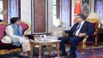 منسقة الأمم المتحدة بتونس تؤكد مواصلة دعم تونس ودفع المشاريع المشتركة