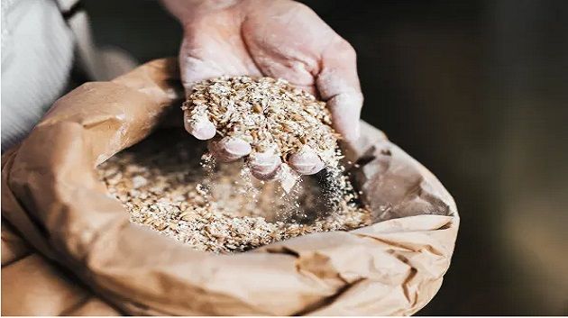 قبلي: إتلاف كمية من الأعلاف الحيوانية