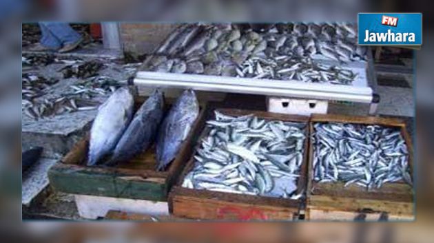 الجزائر تحذّر مواطنيها من أسماك فاسدة مهرّبة من تونس والمغرب