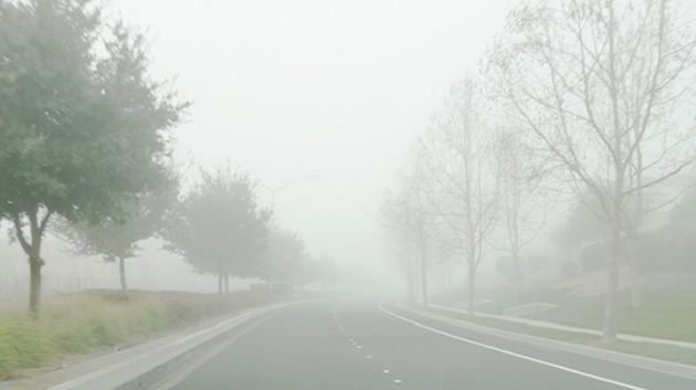 اليوم.. ضباب محلي في الصباح والحرارة تصل إلى 31 درجة