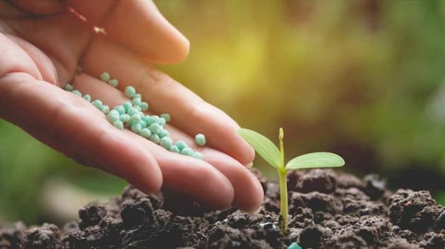 نابل: قلق في صفوف الفلاحين بسبب نقص البذور الأسمدة ‎