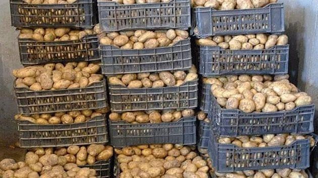 سوسة : حجز 4 أطنان من البطاطا والإحتفاظ بشخص من أجل الإحتكار والمضاربة