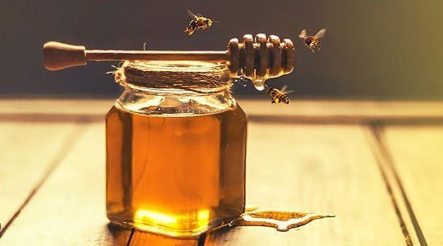 أكبر 5 دول عربية منتجة للعسل