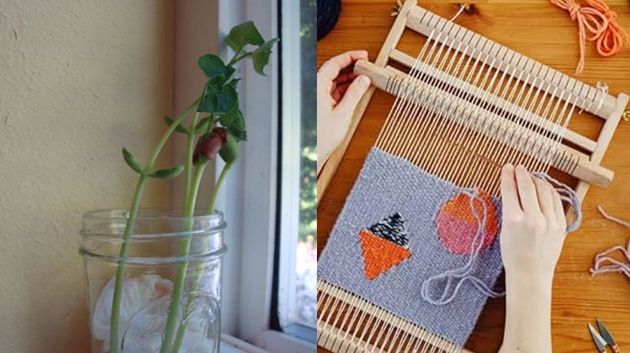 مديرة المرحلة الإبتدائيّة: 'أنشطة الفولة والمنسج ستبقى.. لكن داخل الفضاء المدرسي' (فيديو)