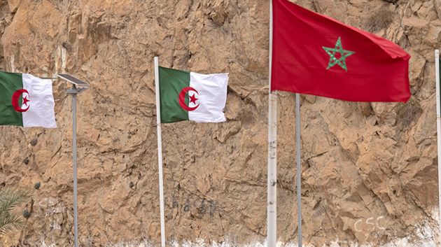 أحمد ونيّس: 'الجزائر اقتنعت بأنّ قضيّة الصحراء الغربية بلا مستقبل' (فيديو)