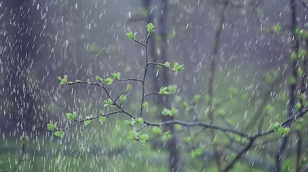 كميات الأمطار المسجّلة خلال الـ24 ساعة الماضية