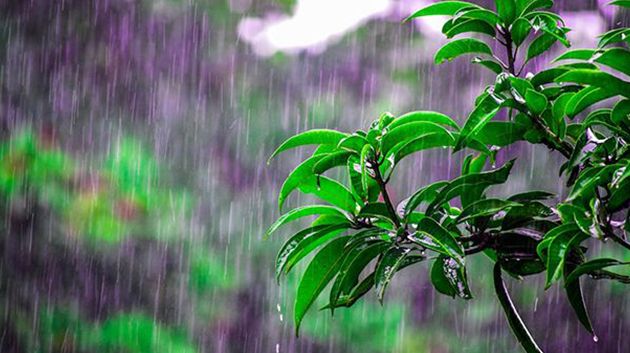 اليوم.. أمطار متفرقة ومؤقتا رعدية بهذه الجهات