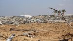 'فاو': تدمير 80% من الأراضي الزراعية في القطاع