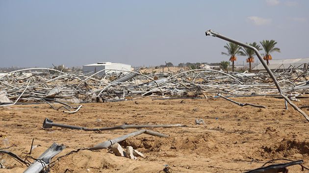 'فاو': تدمير 80% من الأراضي الزراعية في القطاع