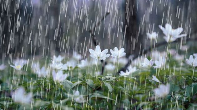 اليوم: أمطار متفرّقة ورعديّة تشمل هذه المناطق