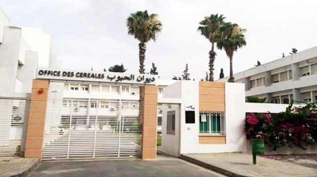 وقفة احتجاجية لأعوان ديوان الحبوب