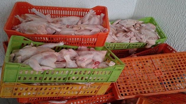 منوبة: حجز أكثر من 650 كلغ من الدجاج المذبوح بمسلخ عشوائي