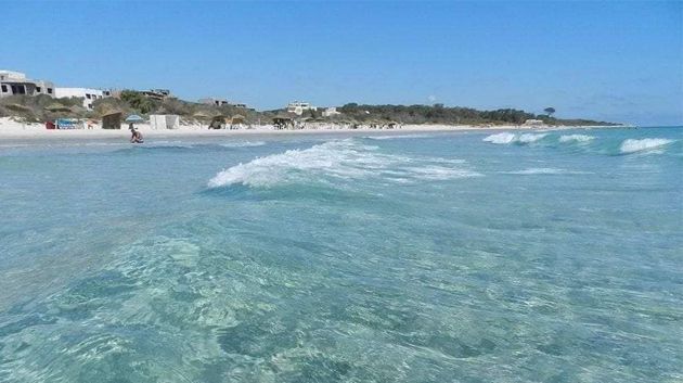 الصندوق العالمي للطبيعة بشمال افريقيا.. فتح باب التسجيل للمشاركة في برنامج