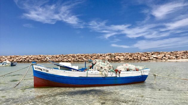 طقس ربيعي طيلة هذا الأسبوع .. و تقلبات جوية متوقّعة بداية من هذا التاريخ