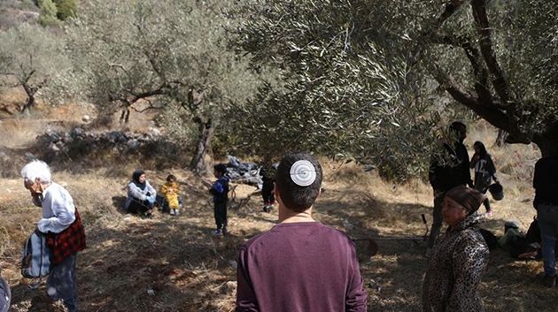 مستوطنون يشنّون هجمات واسعة بالضفة الغربية