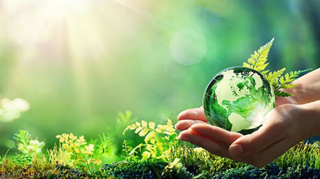  تمويل 75 مشروعا بحثيا في مجالات البيئة والتنمية المستدامة